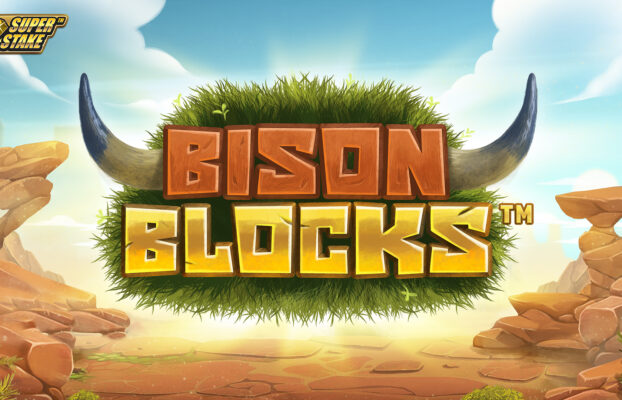 Bison Blocks